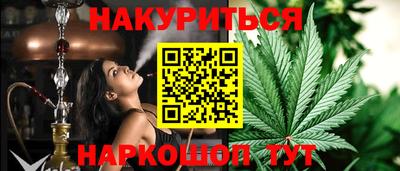 шишки Будённовск