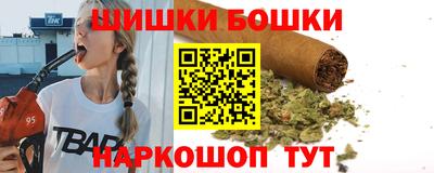 шишки Будённовск