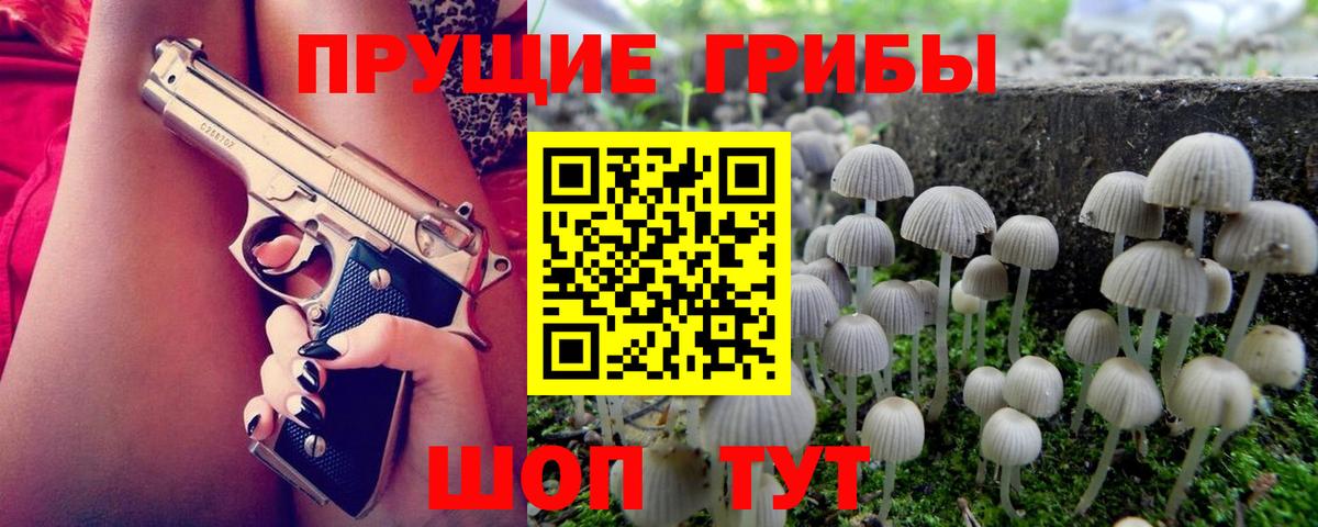 Волоколамск  Галлюциногенные грибы Magic Shrooms  Вход с VPN 